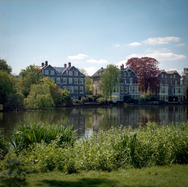 Picturesque view of traditional Dutch houses reflecting in a serene Amsterdam canal.