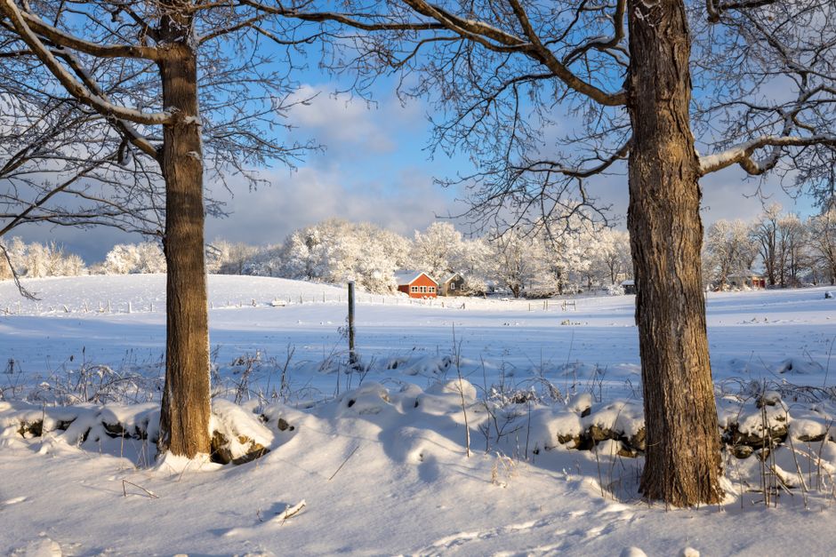 Serene winter landscape with snow-covered fields and red barn in Southborough, MA.