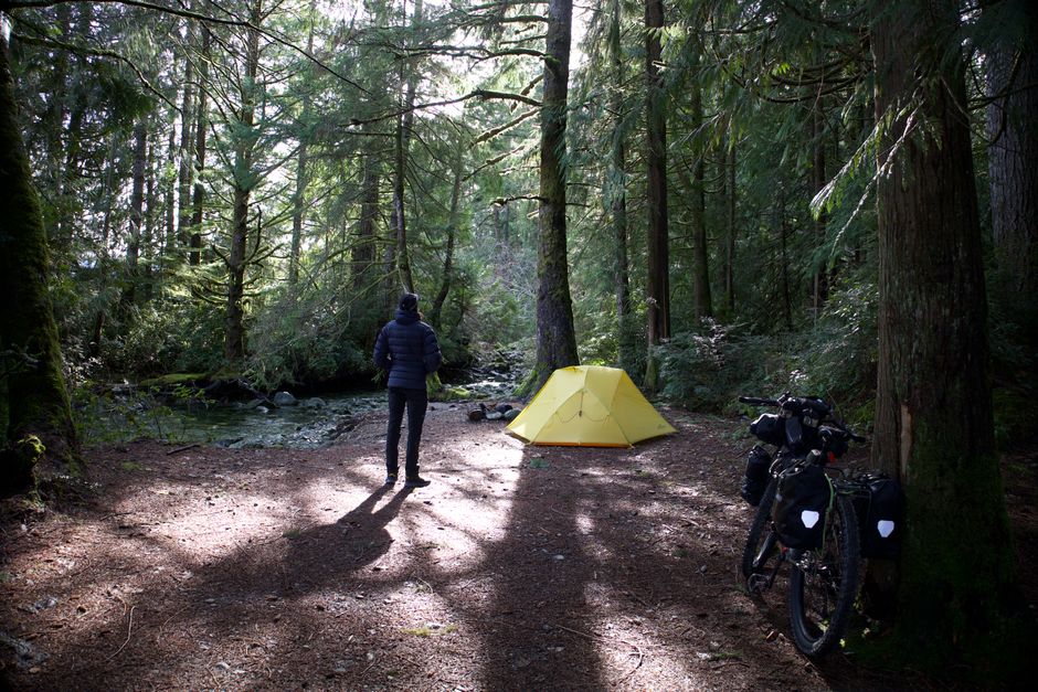 Man standing near tent and bicycle in a serene forest camping site.