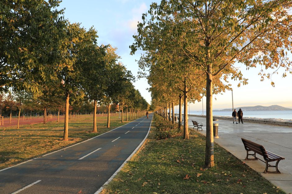Serene coastal walkway lined with autumn trees during a bright sunset.