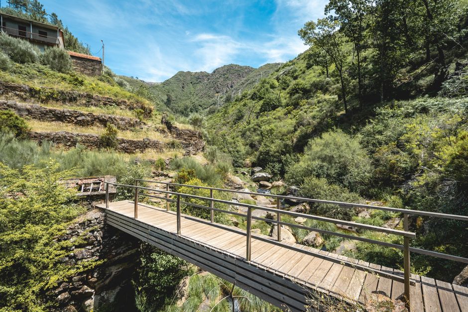 Spring Walking Holidays in Madeira: Levadas and Trails