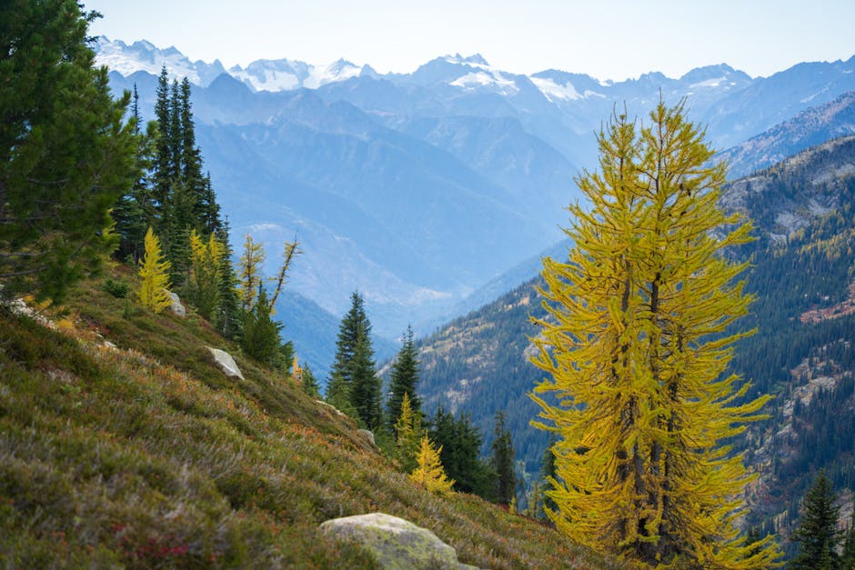 Washington State Hiking Trails: Match the Trail to Your Skill Level