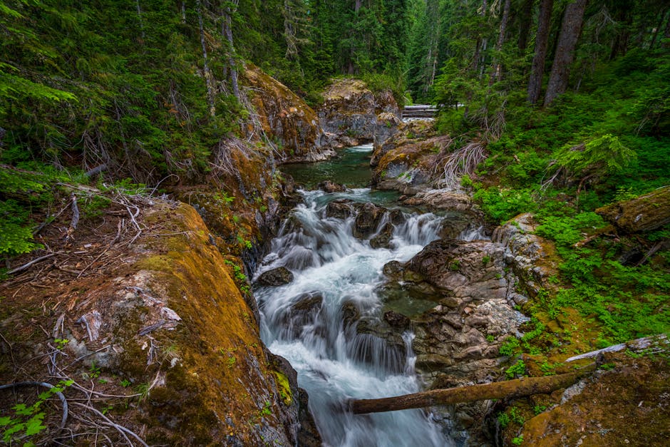 A tranquil waterfall surrounded by lush greenery in Washington's pristine wilderness.
