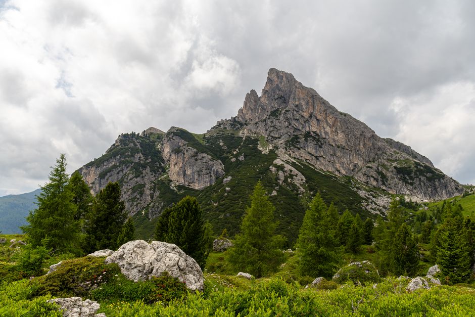Breathtaking view of the Dolomites with green trees and dramatic clouds.