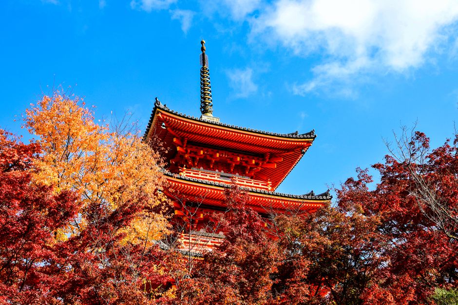 Scenic view of Kiyomizu-dera Temple surrounded by colorful fall leaves under a blue sky in Kyoto.