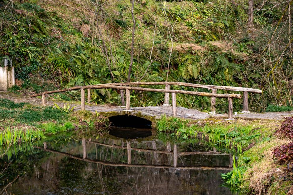 Levada walking path through lush vegetation