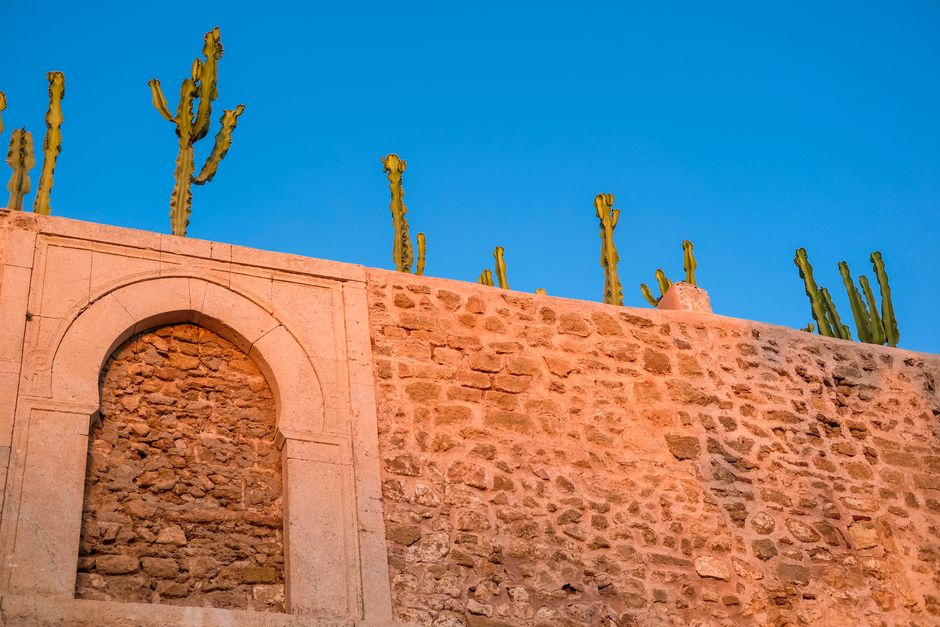 Stone wall with cacti under clear sky in Rabat, Morocco. Vibrant and historic setting.