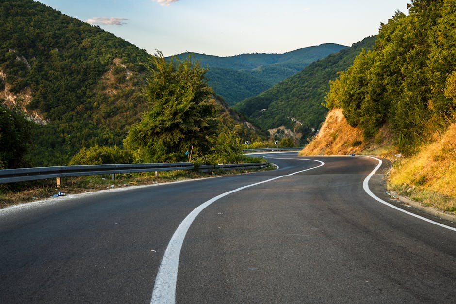 A winding mountain road surrounded by a lush green forest under a clear sky.