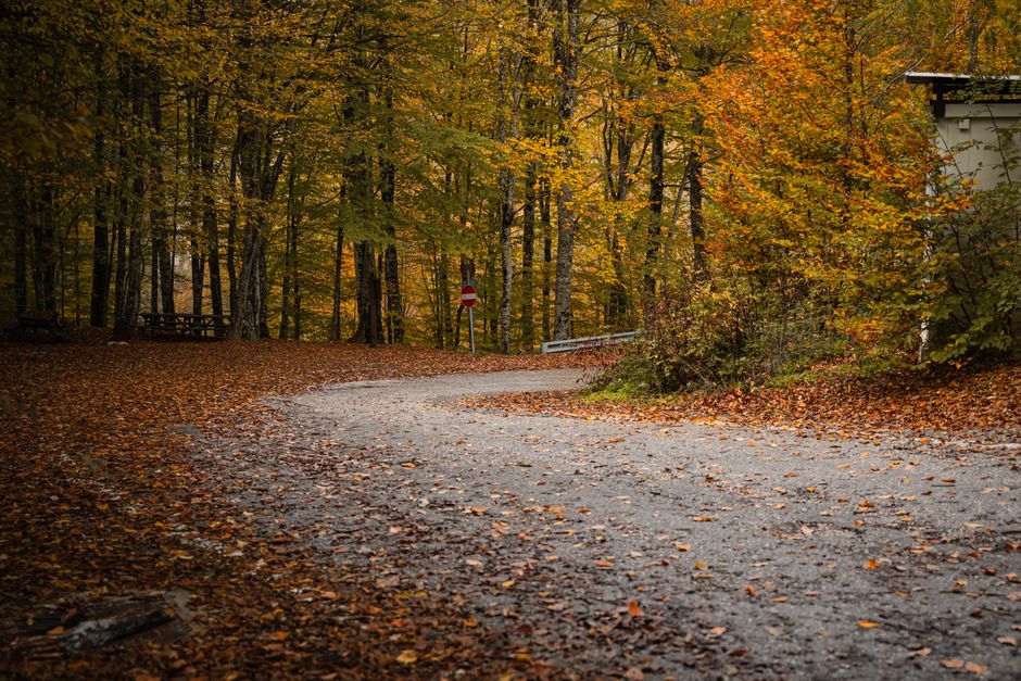 Slovenia Road Trip Itinerary: Slovenia Road Trip: Skip Lake Bled for These 7-Day Routes