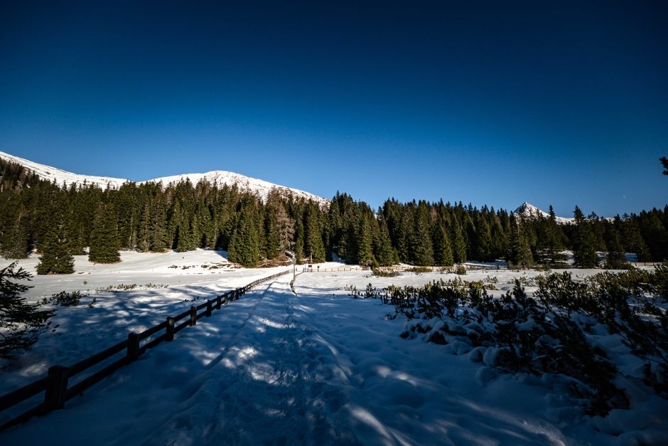 Scenic winter view of snow-covered landscape and evergreen forest under clear blue sky.