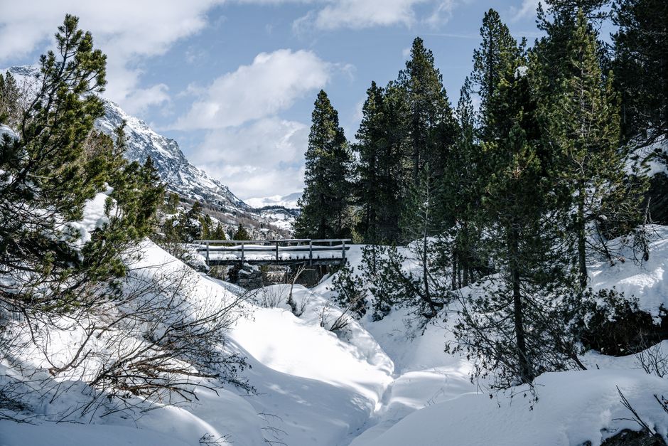 Scenic winter landscape of snow-covered mountains and pine trees by a wooden bridge.