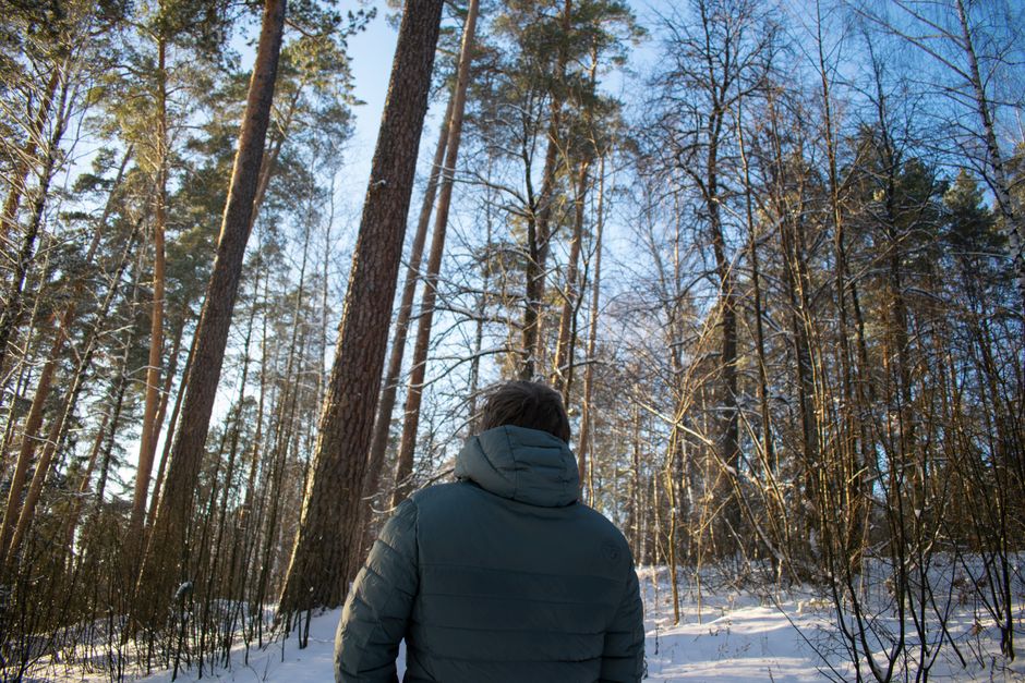 A person in a winter jacket walks through a snowy forest under a clear blue sky.